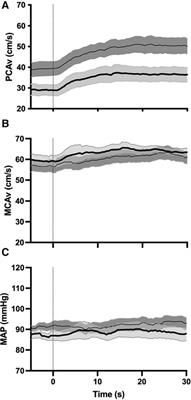 Neurovascular coupling is altered in women who have a history of brain injury from intimate partner violence: a preliminary study
